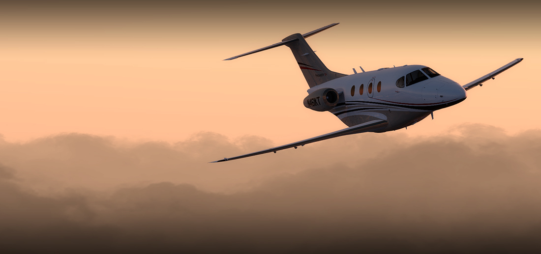 390 PREMIER IA FSX/P3D – Carenado